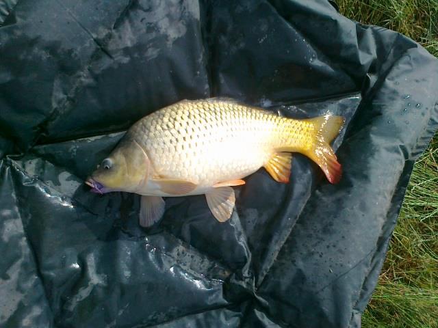 peste - picture-023.jpg